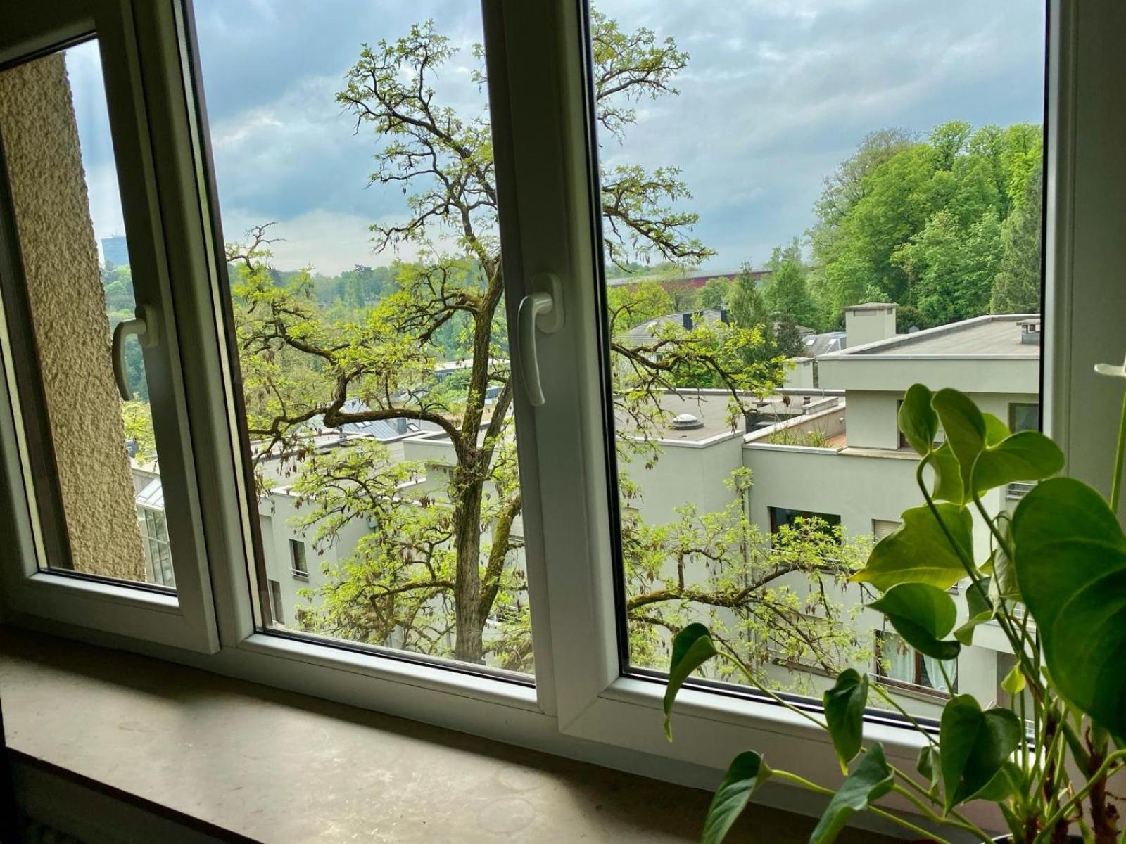 Rue Des Glacis Limpertsberg Hotel Luxemburg Exterior foto